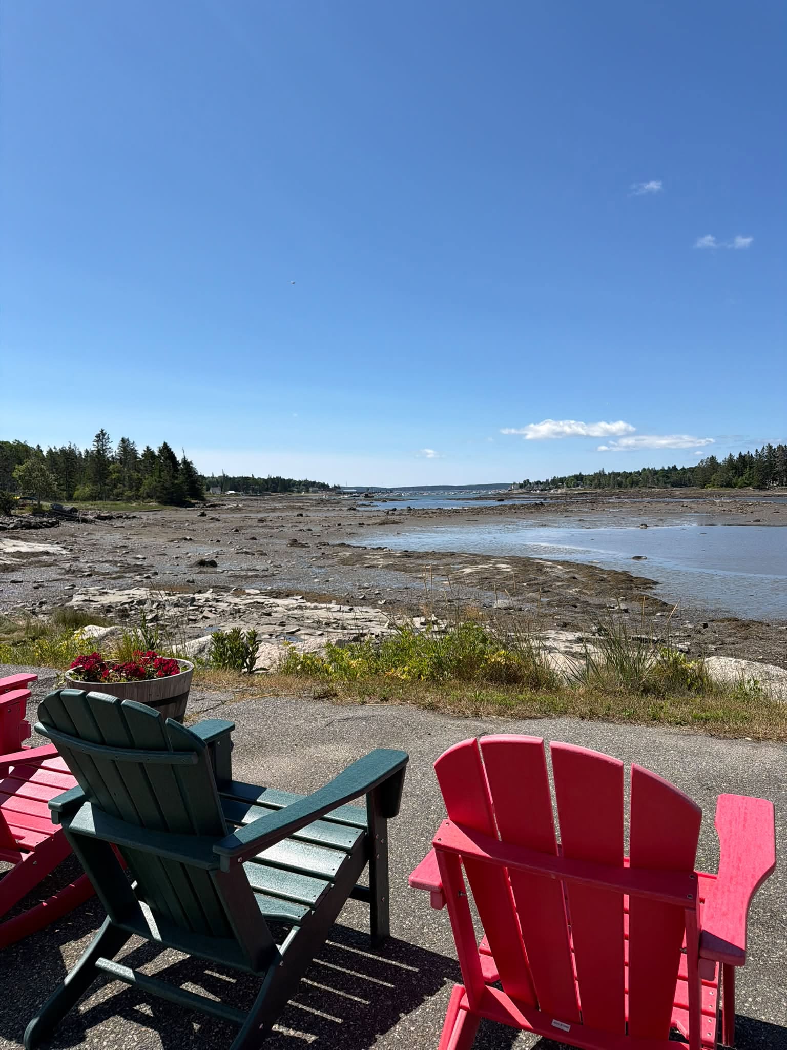 Red and green Adirondack chairs overlooking the rocky Bass Harbor shoreline and water under a clear blue sky at Archie’s Lobster.