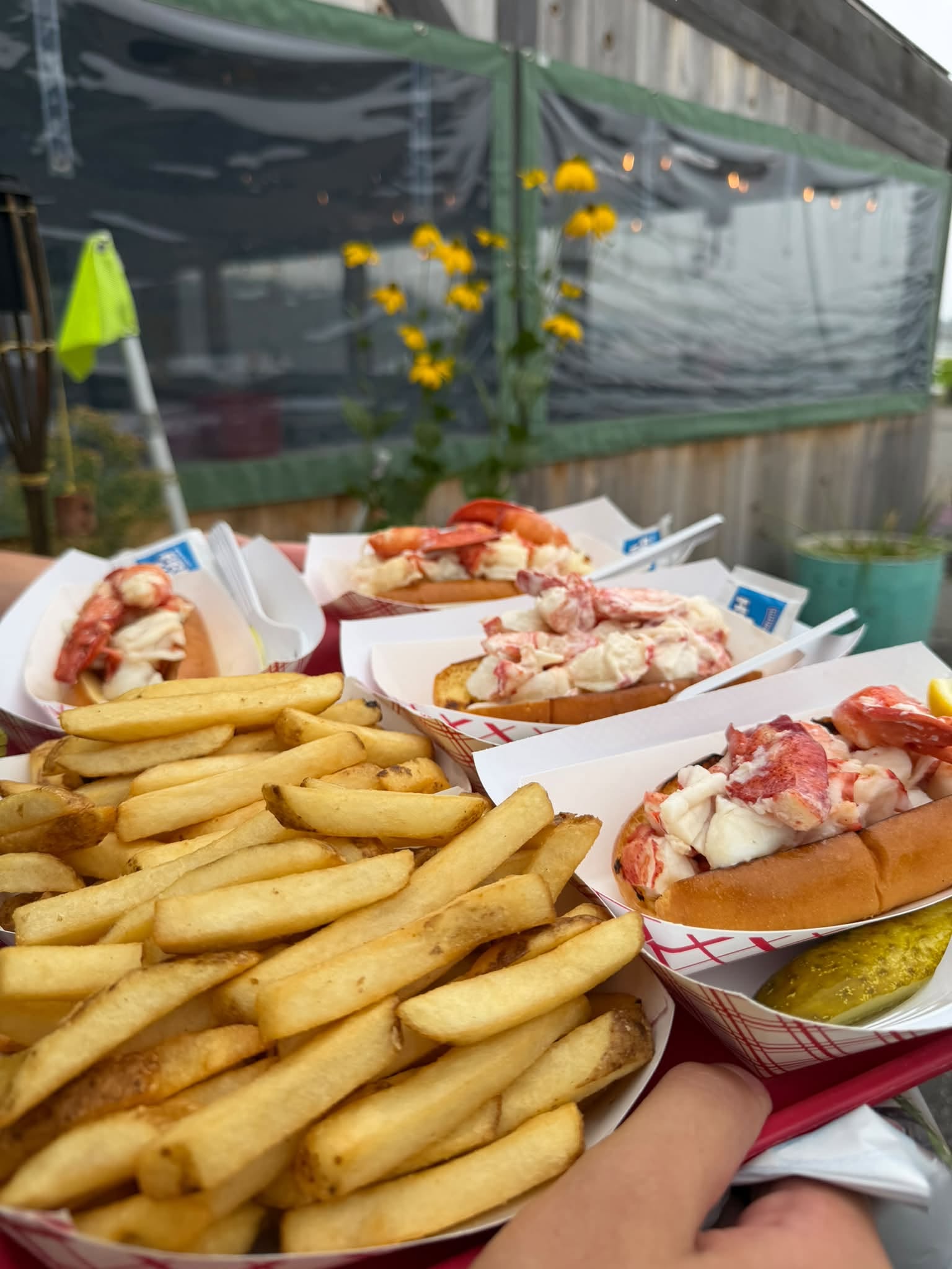 Several Maine lobster rolls filled with fresh lobster meat alongside a large serving of golden French fries at Archie’s Lobster.